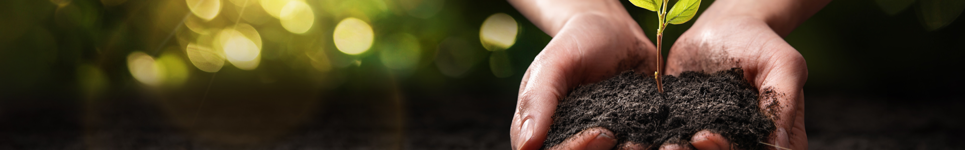 Partnership Approach